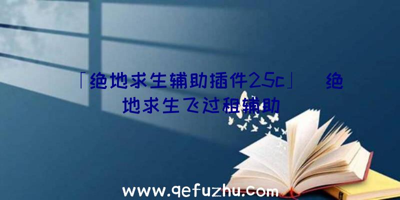 「绝地求生辅助插件25c」|绝地求生飞过租辅助